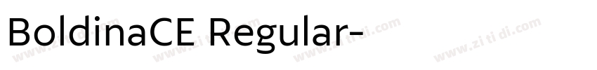 BoldinaCE Regular字体转换